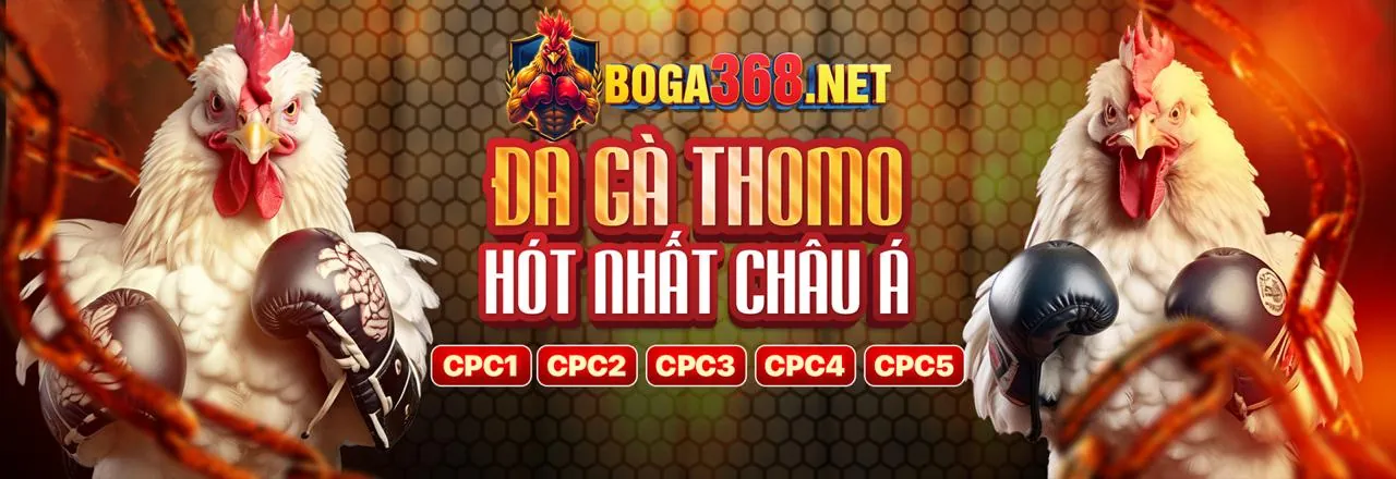 Vua Hải Tặc 77win9