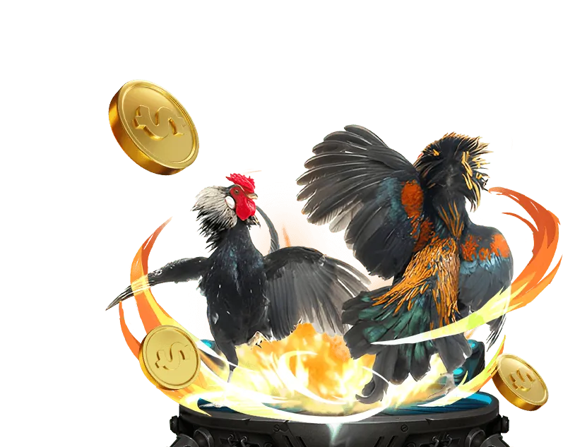 Giao diện cá cược đá gà 77win9